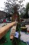 FDS2023_corso00056