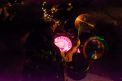 FDS2024_000_61